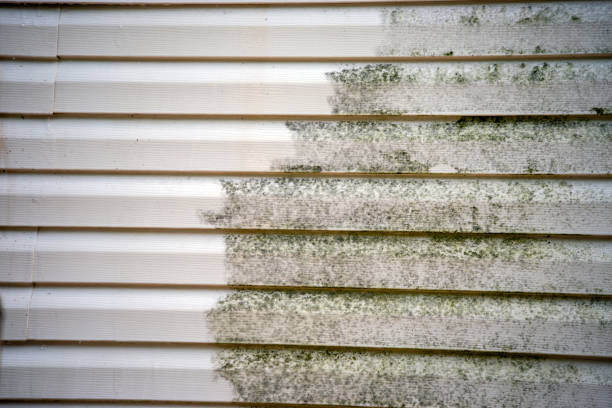 Professional Siding Services in Haynesville, LA